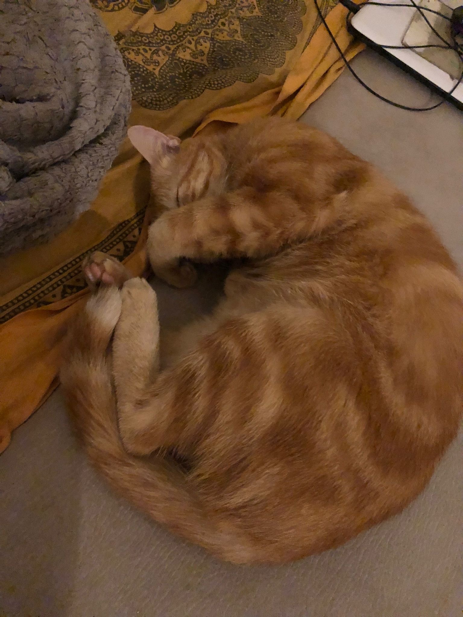 Nans - Opwijk - Brabant flamand | Massage Nue