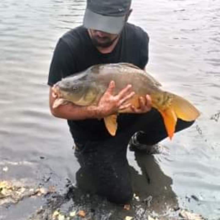 Yakoub - Oostrozebeke - Flandre occidentale | Massage Nue